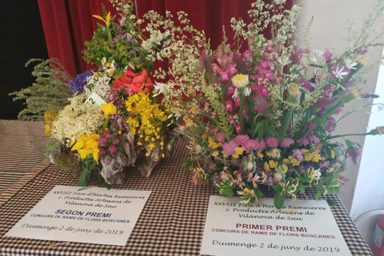 Concurs de Rams de Flors Boscanes
