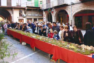 L'exposició de bolets