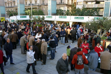Els estands de les cooperatives