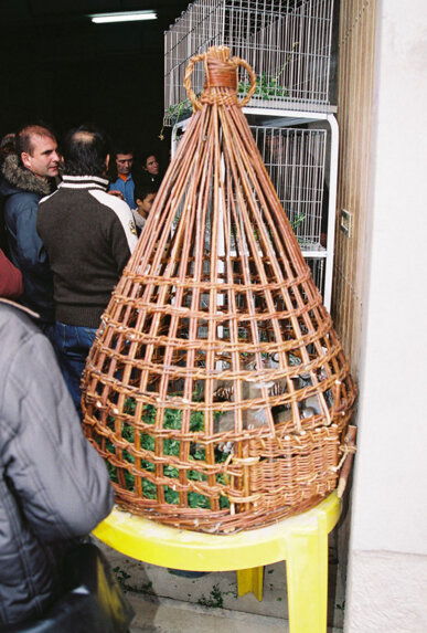 Gàbia perdiuera de vímet