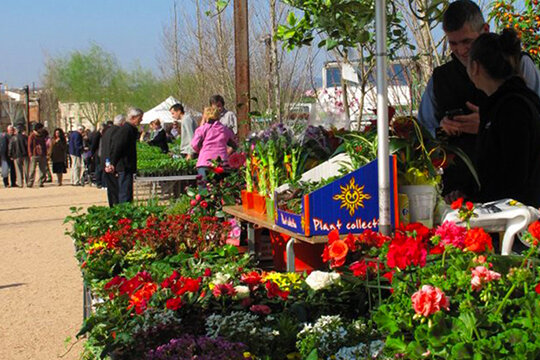 Parada de flors en test