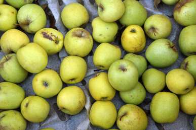 La poma, protagonista