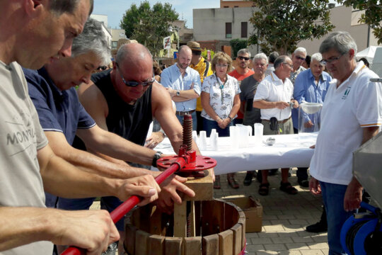 Elaboració de most. Foto: Associació Els Xiprers