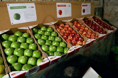 Exposició sobre les diverses varietats de poma