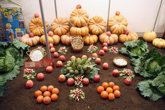 Mostra de Fruites i Verdures