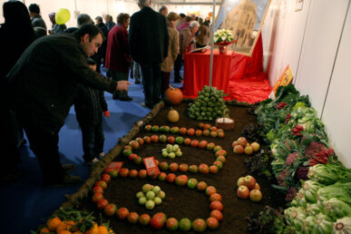La mostra artística de paneres