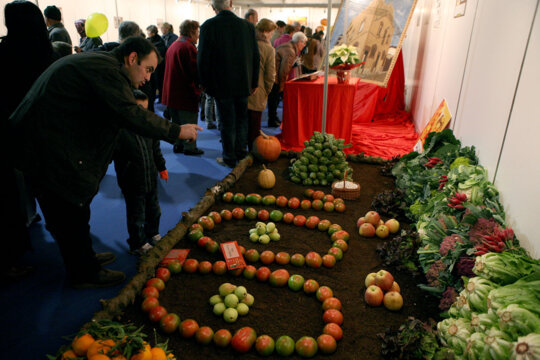 La mostra artística de paneres
