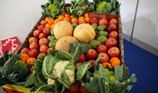 Fira de la Puríssima a Sant Boi de Llobregat