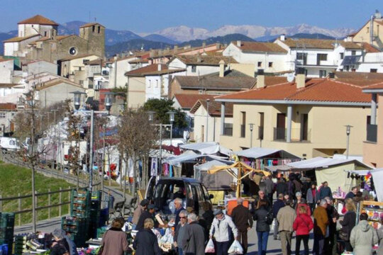 Vista general de la fira. Foto: Ajuntament de Tortellà