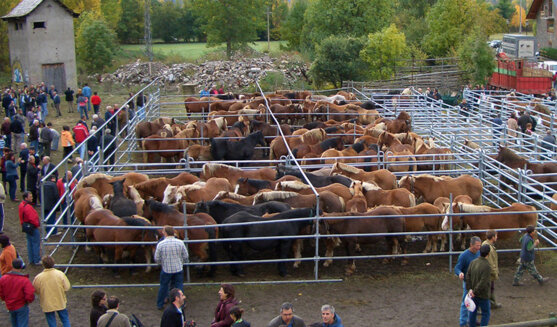 Fira de Santa Teresa a Esterri d'Àneu