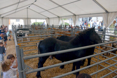 La mostra de bestiar