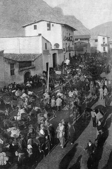 Lo firal de les mules