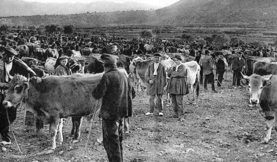 Fira de Sant Andreu a Organyà
