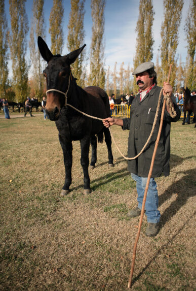 Un dels ramaders amb el seu animal