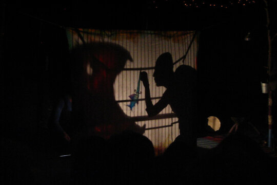Espectacle amb ombres