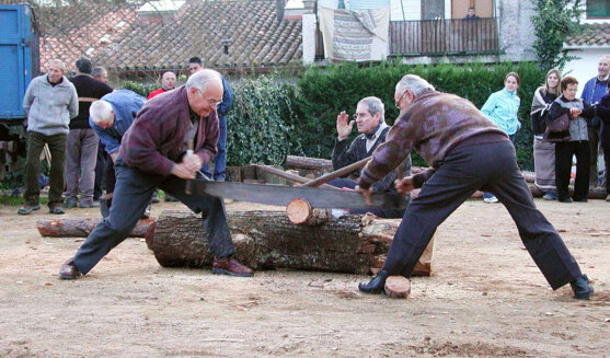 Fira del bosc i la pagesia