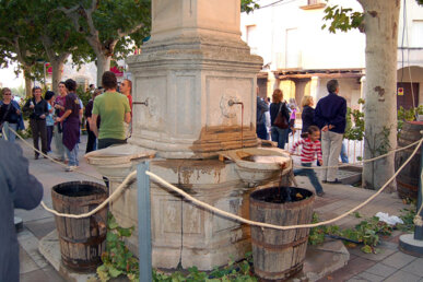 La Font de Verdú, el dia de la festa. Foto: Ajuntament de Verdú