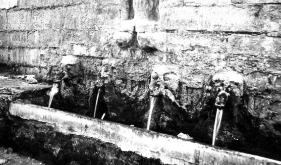Les carotes en una foto antiga