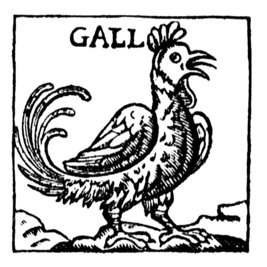 Galls, pollastres i gallines