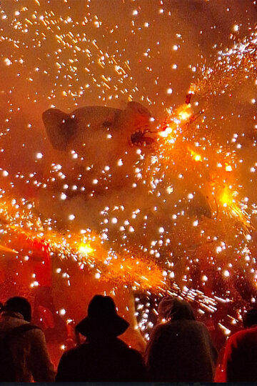 Correfoc de bèsties