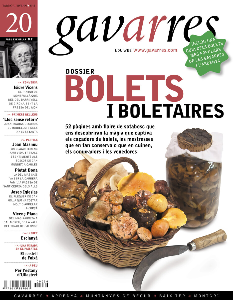 Dossier: Bolets i boletaires