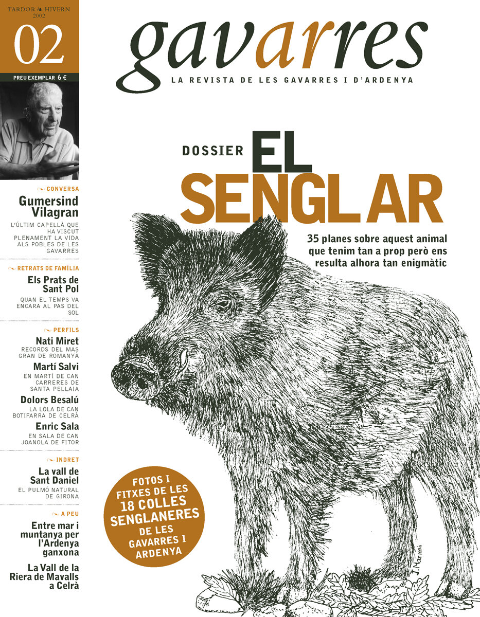 Dossier: El senglar