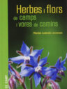 Herbes i flors de camps i vores de camins. Plantes ruderals i arvenses