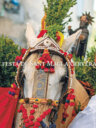 La Festa de Sant Magí a Cervera. Història, tradició i cultura