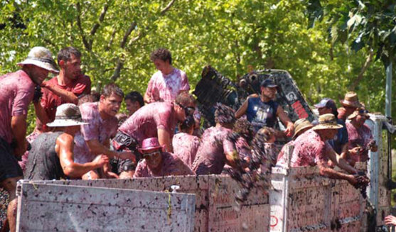 La Raïmà de la Pobla del Duc