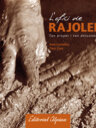 L'ofici de rajoler. Tan proper i tan desconegut