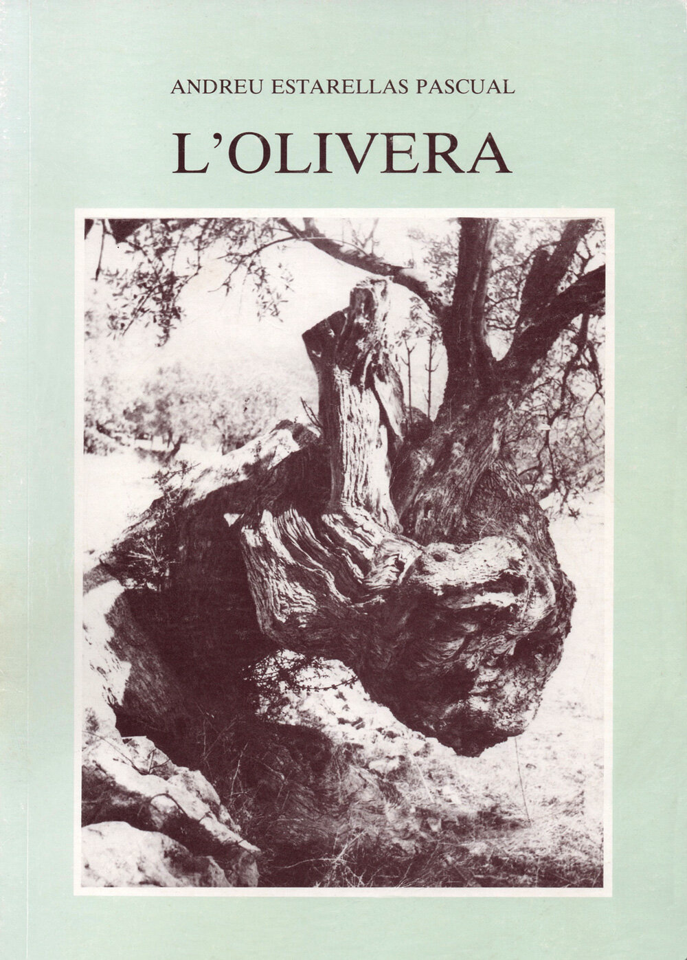 L'olivera