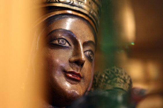 Galeria principal