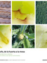 La alcachofa, de la huerta a la mesa. Recetas de Moisés Martínez y estudios sobre el paisaje, el cultivo y sus valores nutricionales