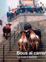Bous al carrer, la nostra tradició