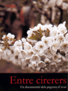 Entre cirerers
