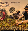 Festa de l'Escaldà. Montitxelvo