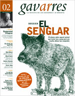 Dossier: El senglar