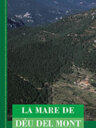 La Mare de Déu del Mont