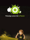 Paisatge sonor de la Patum