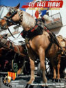 Els Tres Tombs. Festa, Tradició i Cultura