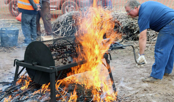 Mercat de la castanya de Vilanova de Prades