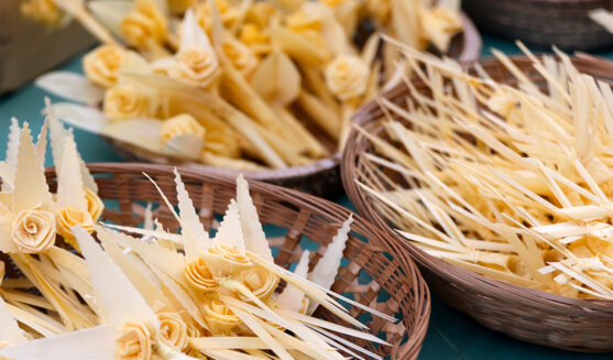 Mercat del Ram de Vic