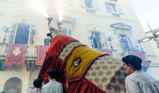 Momerota de Mataró