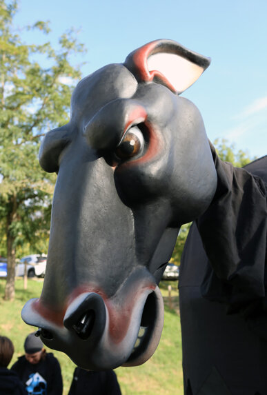 La Mula Baba té un rostre molt expressiu