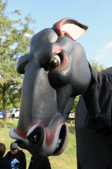 La Mula Baba té un rostre molt expressiu