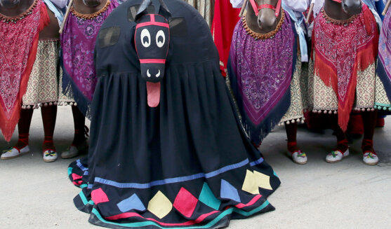Mulassa de Sant Feliu de Pallerols
