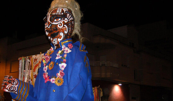 Formes, atributs i noms del Carnestoltes