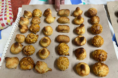 Plata de panelles fets a casa