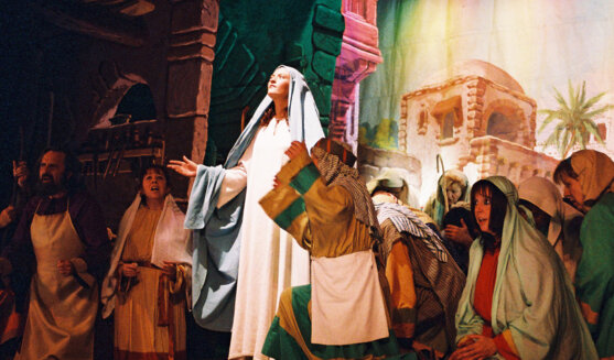 Pastorets de l'Ametlla de Merola