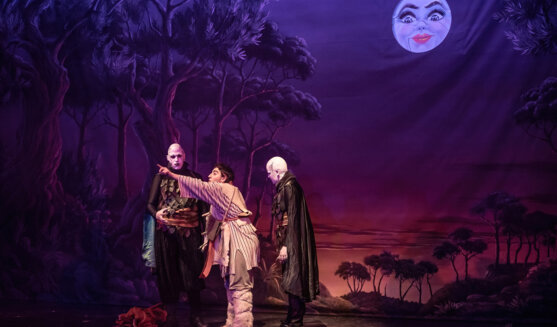 Els Pastorets de Mataró